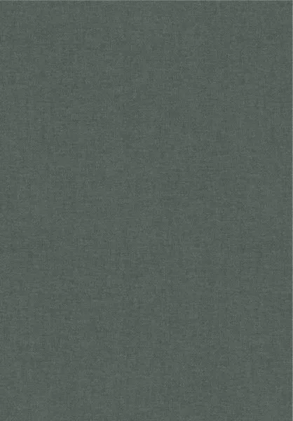 Lin 40023A Vert de Gris