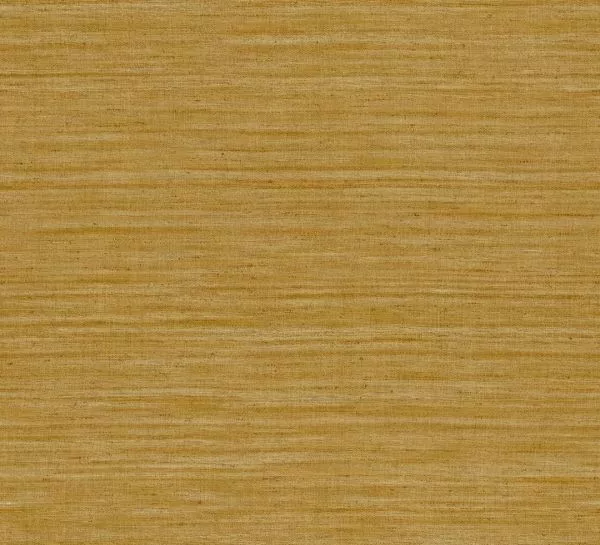 Lignes 40501 Ochre