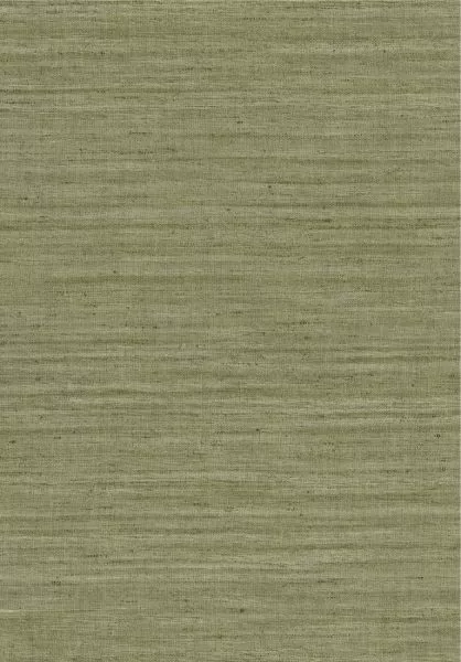 Lignes 40505 Olive