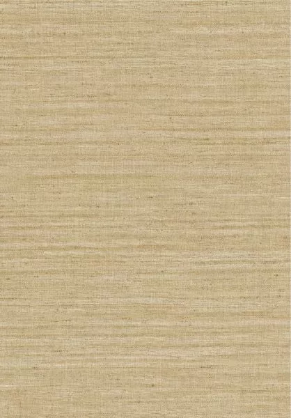 Lignes 40510 Straw