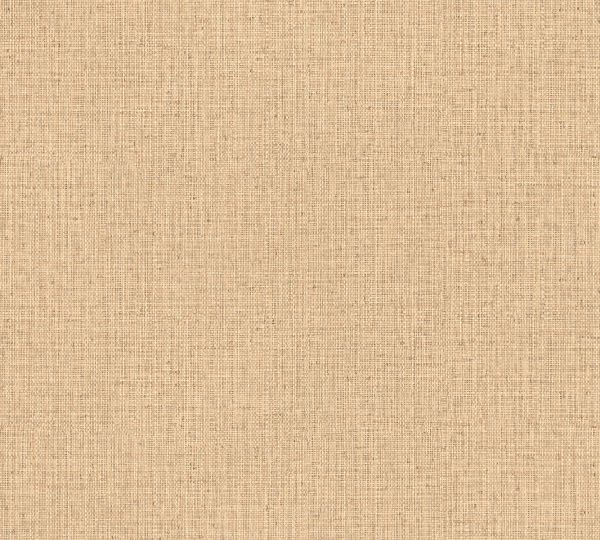 Gitane Nongo 49511 Sand