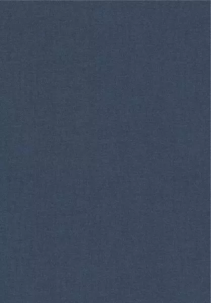 Lin 59314A Bleu de Toi