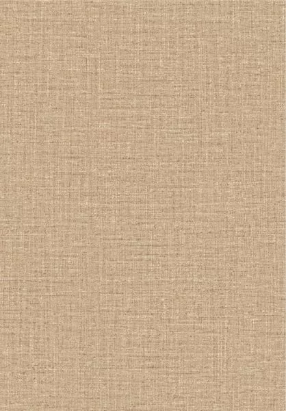 Ovillo 63546 Ginger