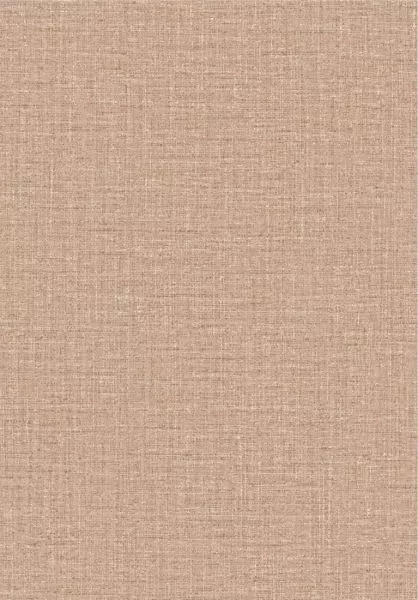 Ovillo 63547 Nude