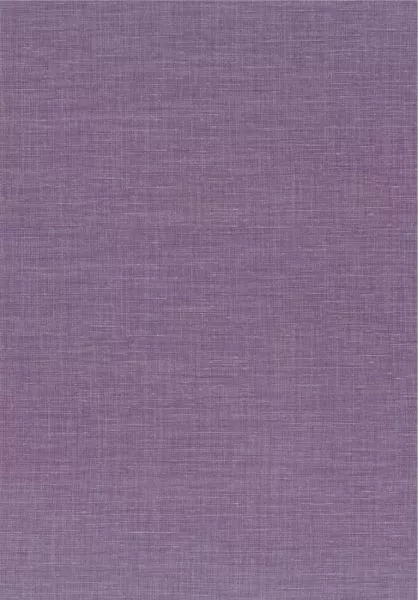 Shinok 73810302 Mauve