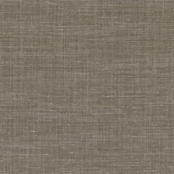 Shinok 73813782 Gris Taupe