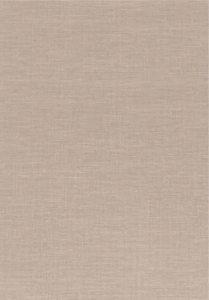 Shinok 73818854 Beige