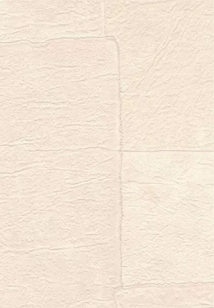 Sangpi VP1018 03