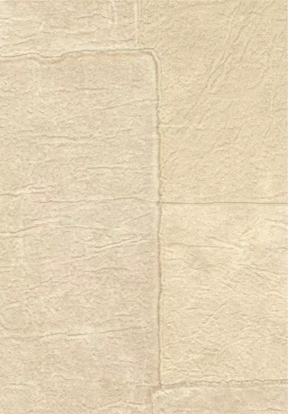Sangpi VP1018 06
