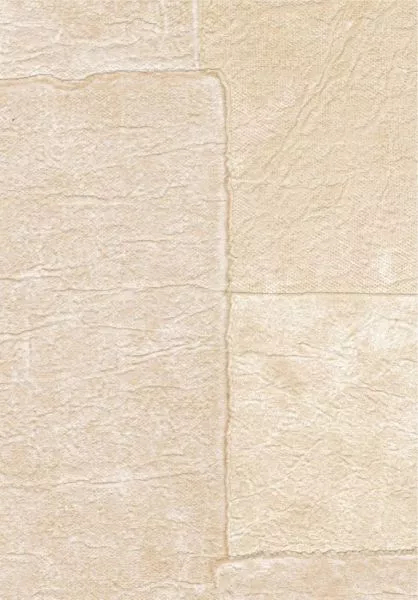 Sangpi VP1018 07