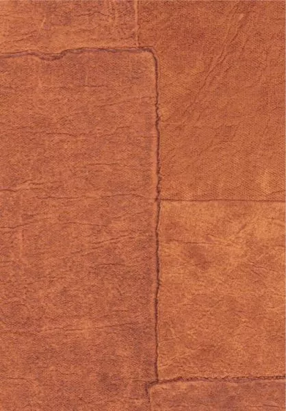 Sangpi VP1018 35