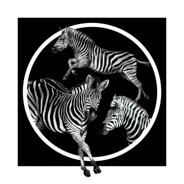 Zebra Cerchio Teletta Wandbild