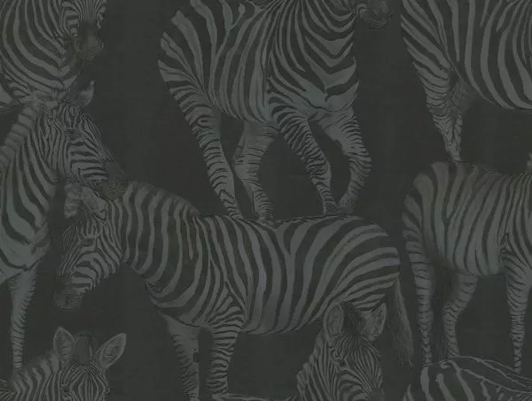 Zebra Paradise Black