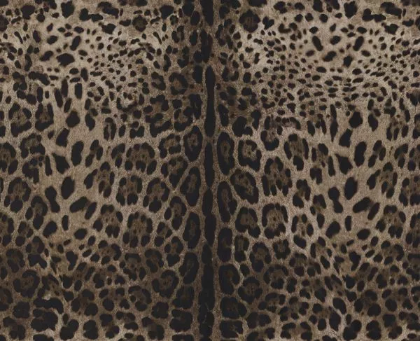 Leopardo