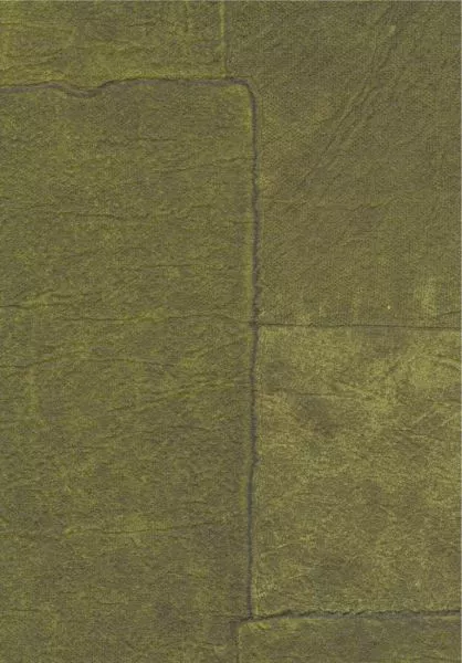 Sangpi VP1018 67