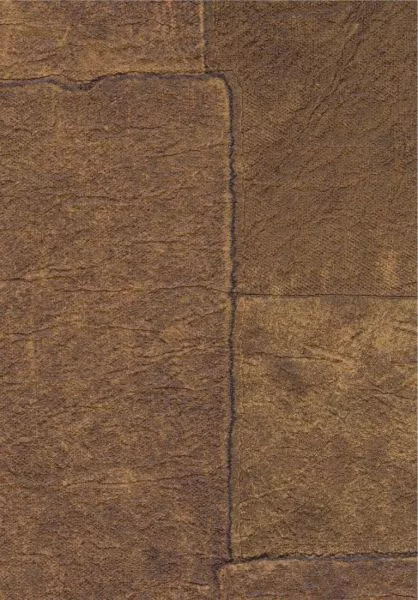 Sangpi VP1018 70